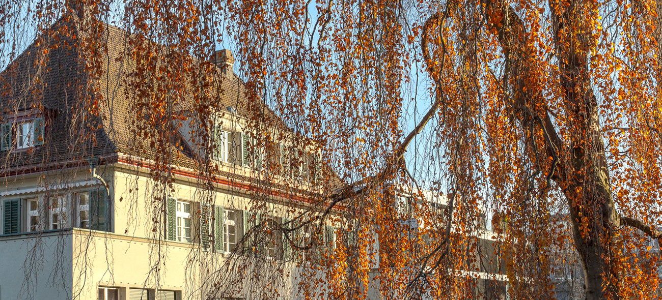Das Gebäude an der Römerstrasse 18 in Winterthur hinter herbstlich gefärbten Zweigen